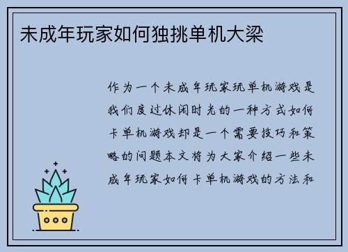 未成年玩家如何独挑单机大梁